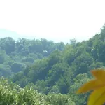 Le Logis D'hortense Holiday home *